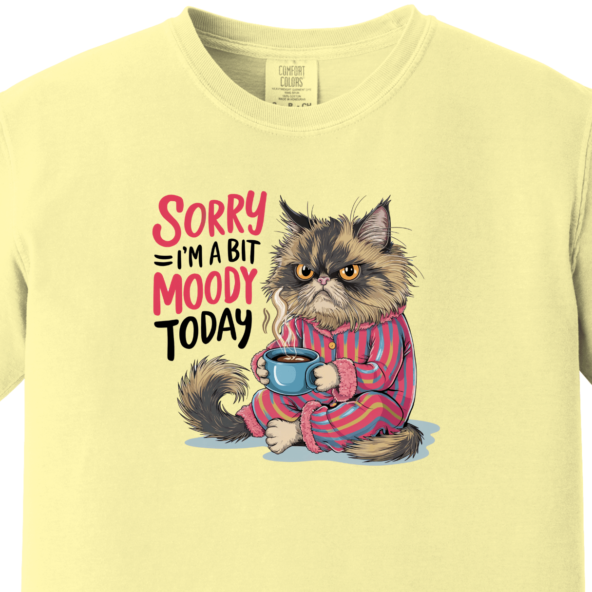 Sorry I am a Bit Moody Today Tee