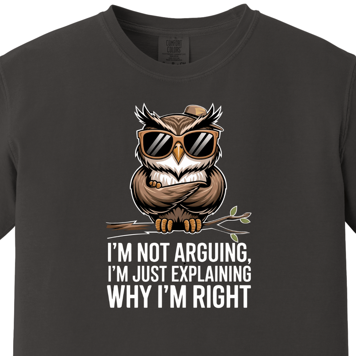I am Not Arguing I am Just Explaining Why I am Right