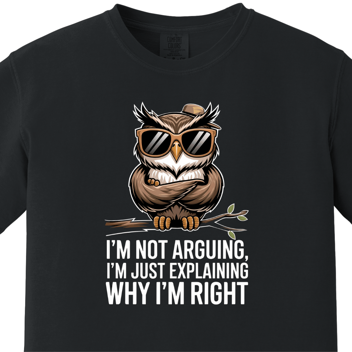 I am Not Arguing I am Just Explaining Why I am Right