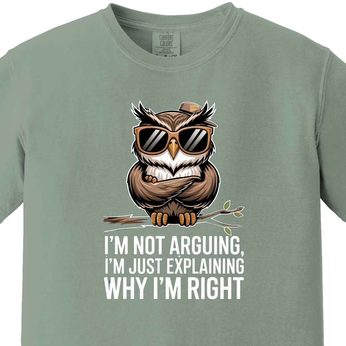 I am Not Arguing I am Just Explaining Why I am Right