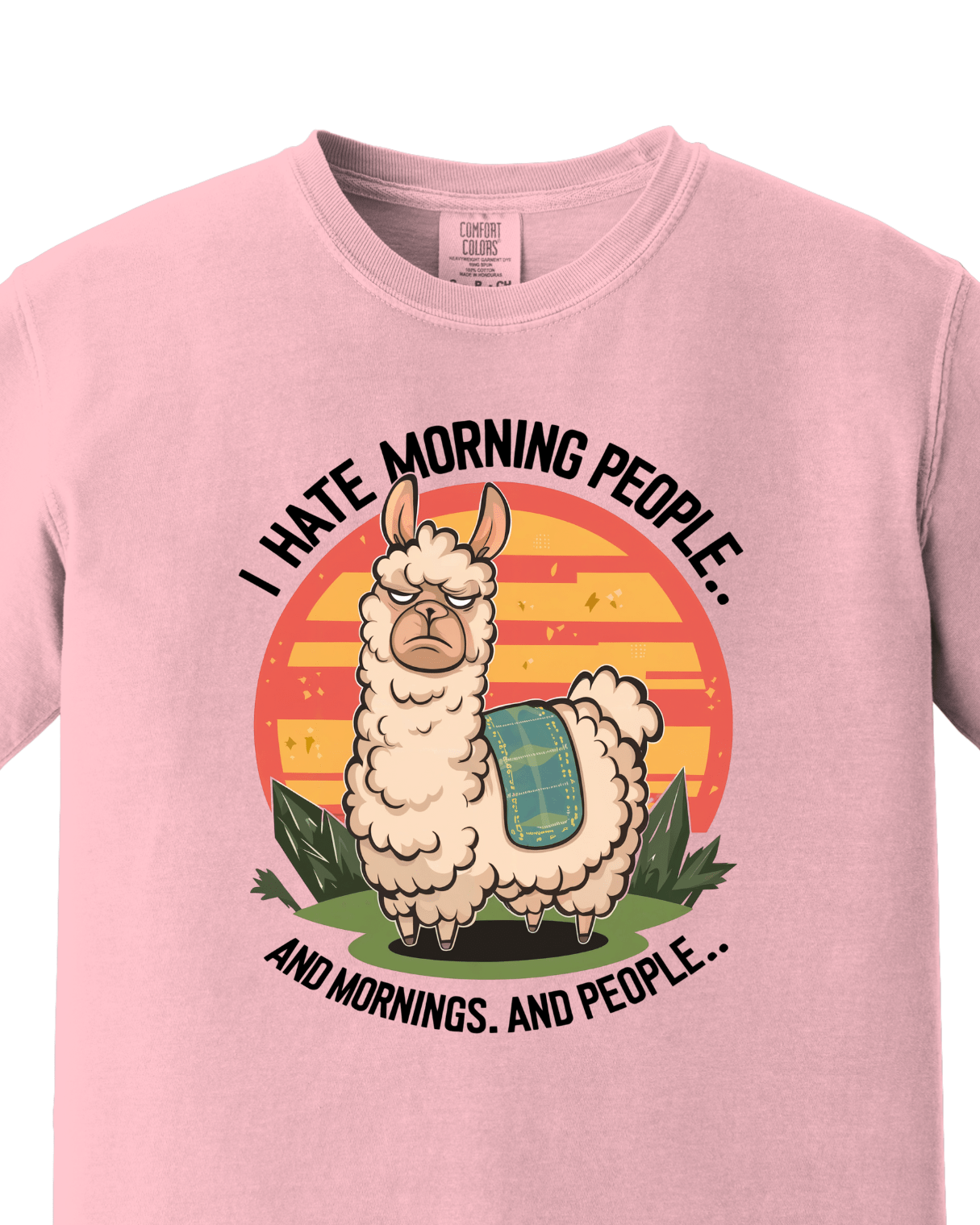 I hate Morning Casual tee 2