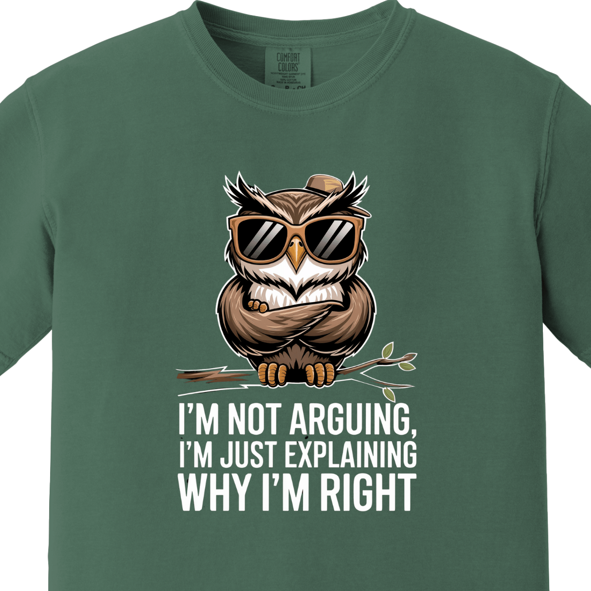 I am Not Arguing I am Just Explaining Why I am Right