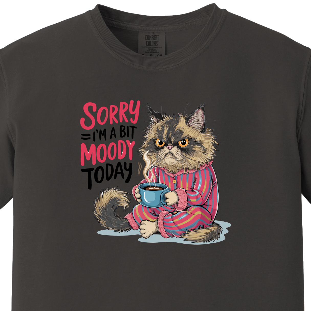 Sorry I am a Bit Moody Today Tee