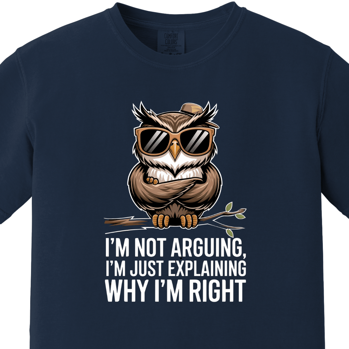 I am Not Arguing I am Just Explaining Why I am Right