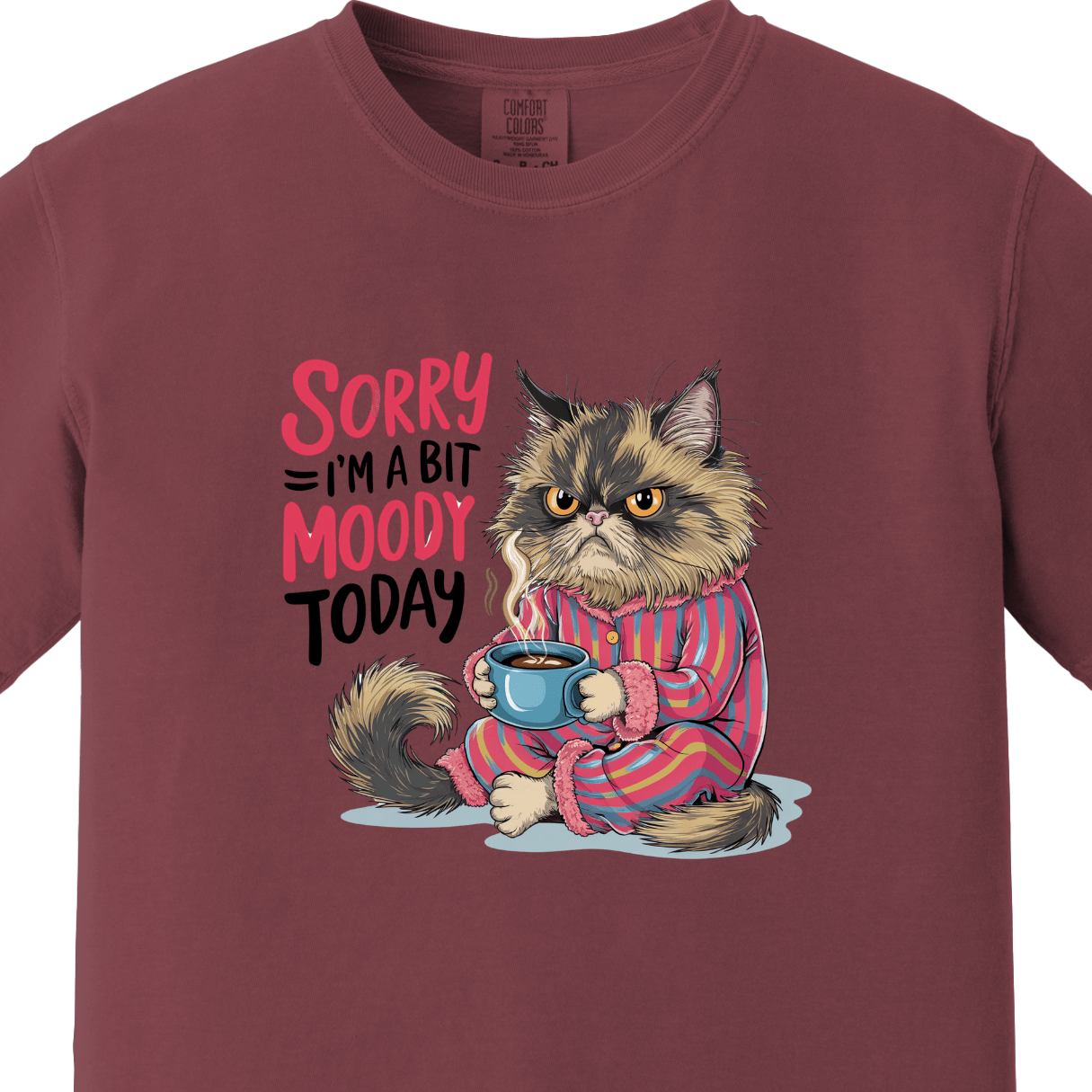 Sorry I am a Bit Moody Today Tee