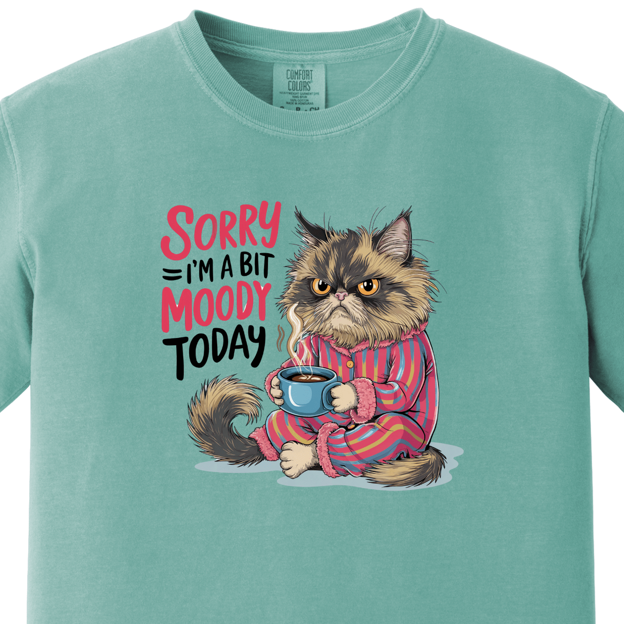 Sorry I am a Bit Moody Today Tee