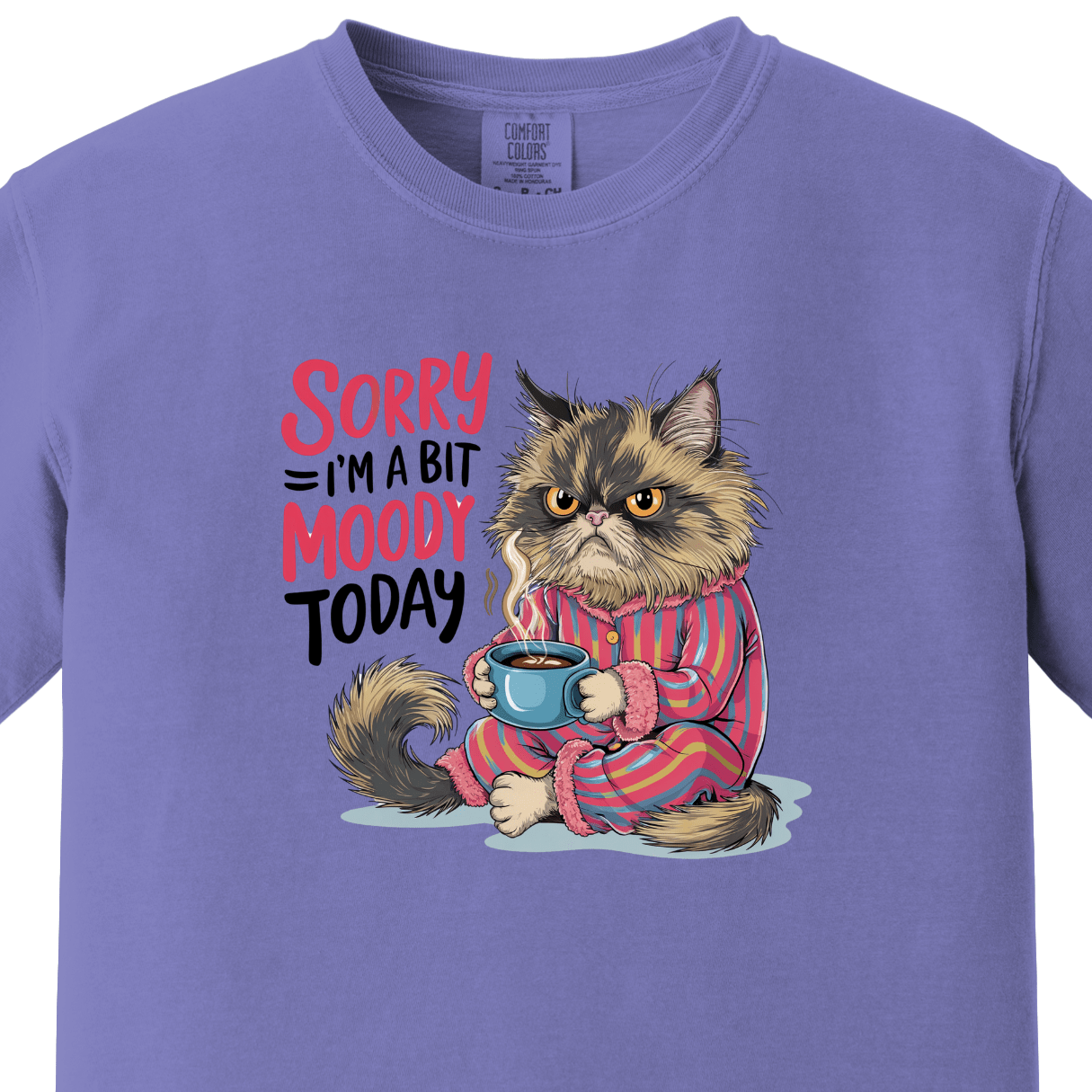 Sorry I am a Bit Moody Today Tee