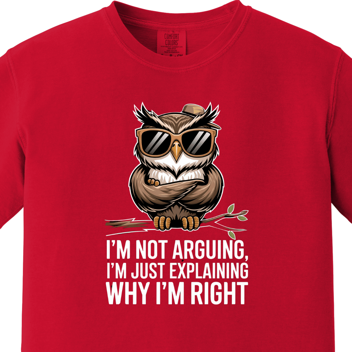 I am Not Arguing I am Just Explaining Why I am Right