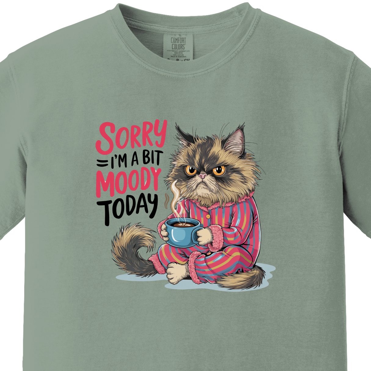 Sorry I am a Bit Moody Today Tee