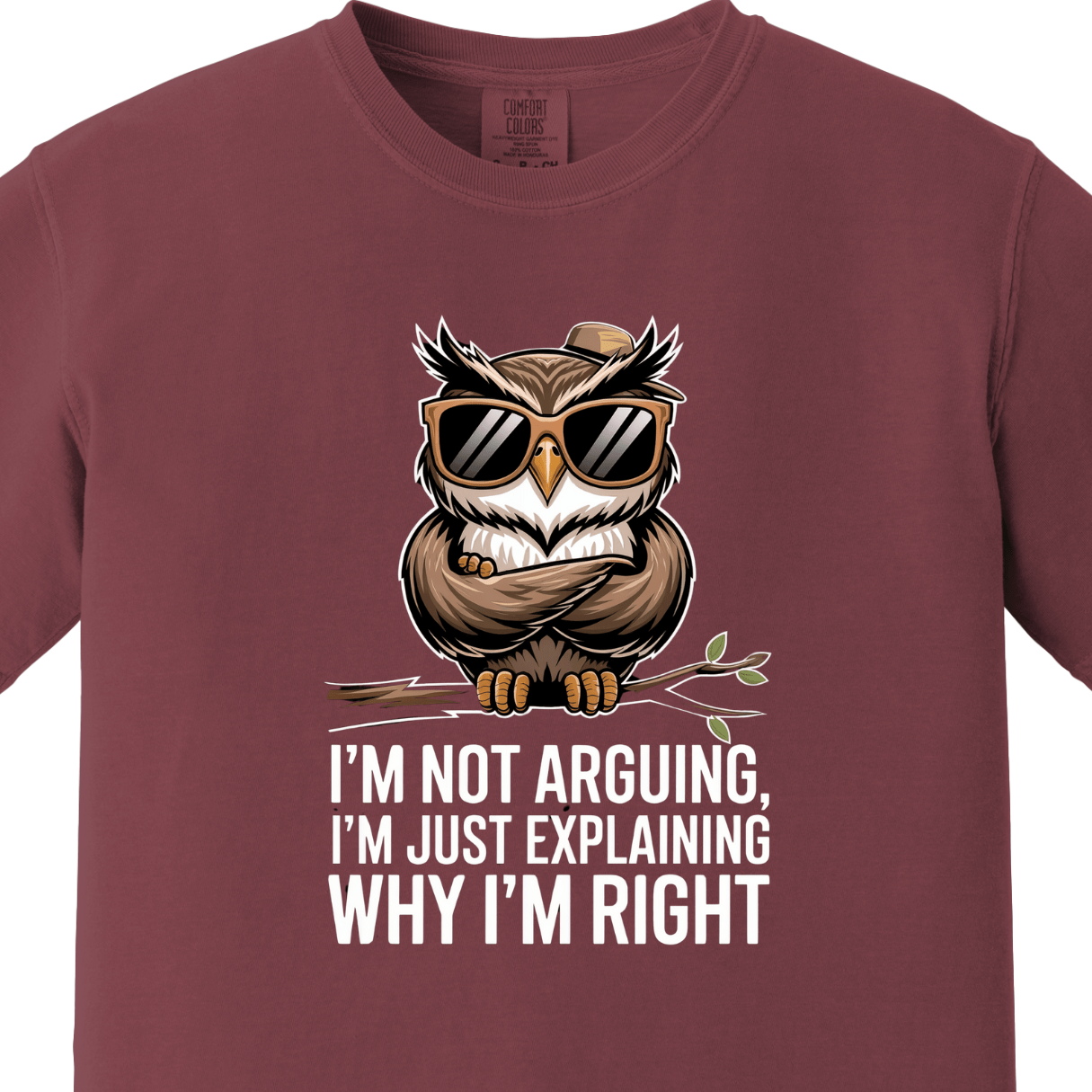 I am Not Arguing I am Just Explaining Why I am Right
