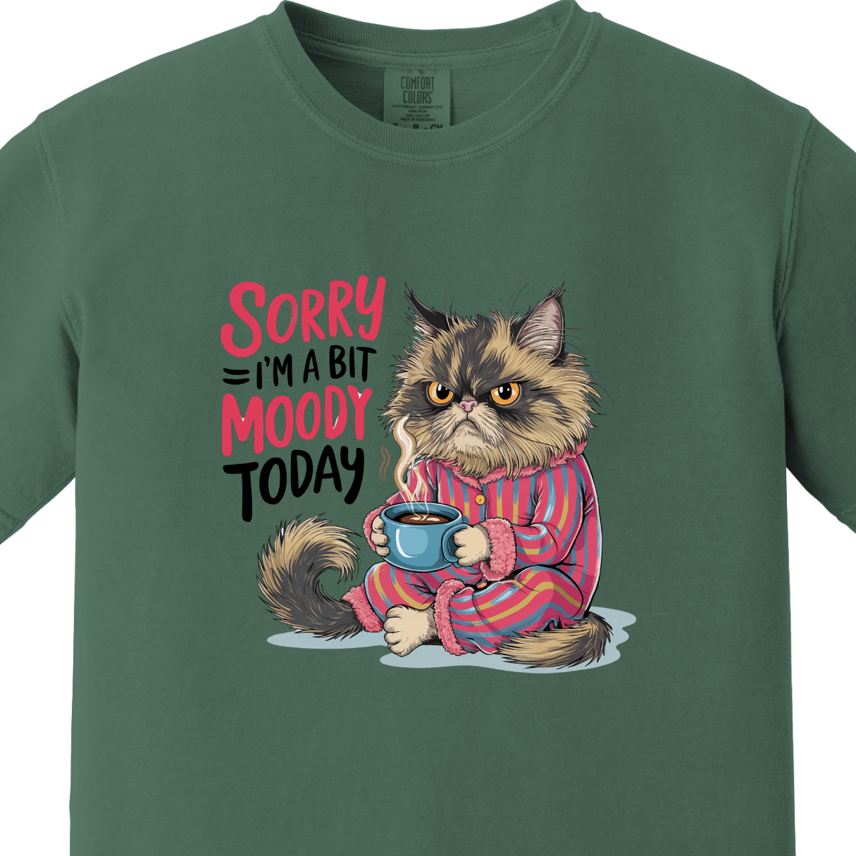 Sorry I am a Bit Moody Today Tee