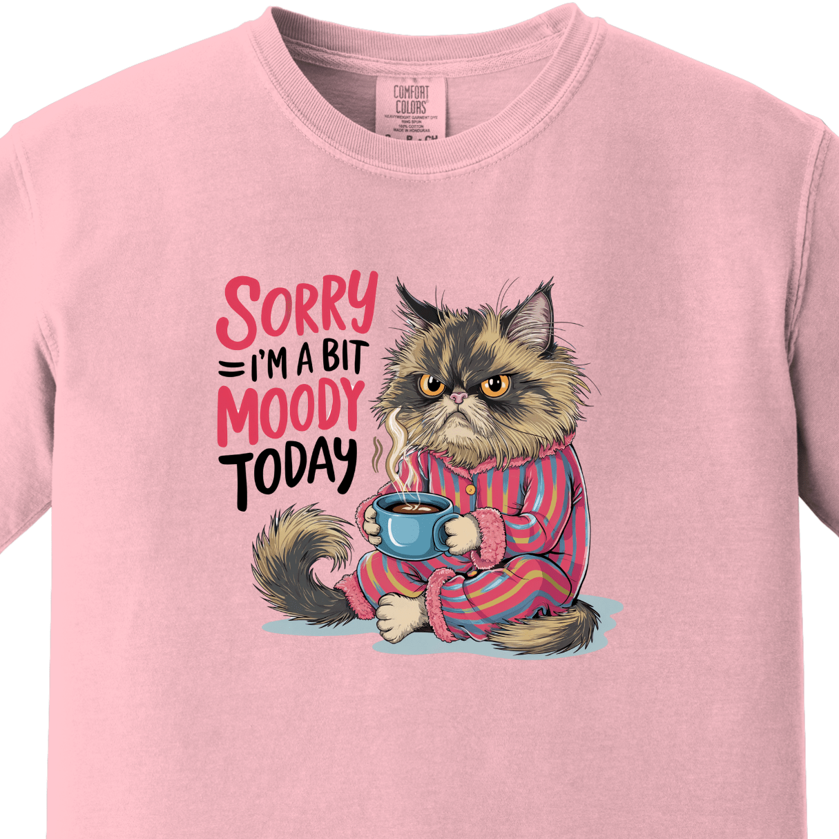 Sorry I am a Bit Moody Today Tee