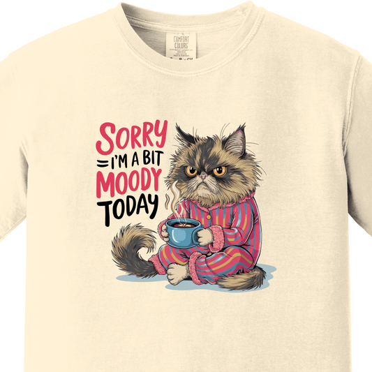 Sorry I am a Bit Moody Today Tee
