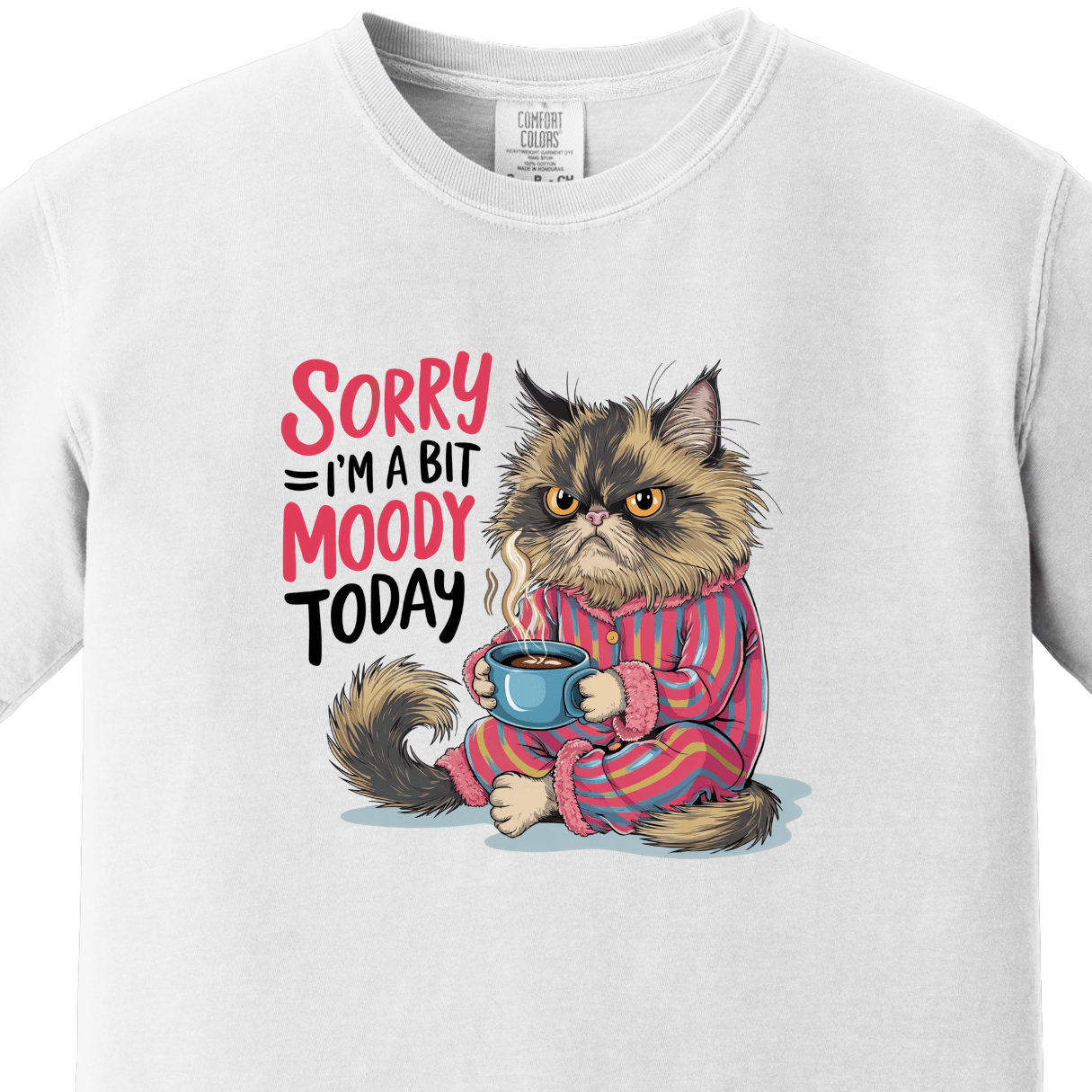 Sorry I am a Bit Moody Today Tee